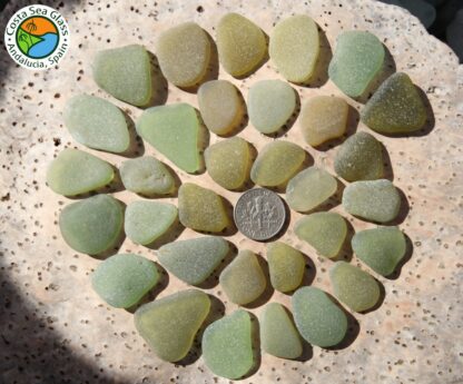 Pale and Olive Green Sea Glass