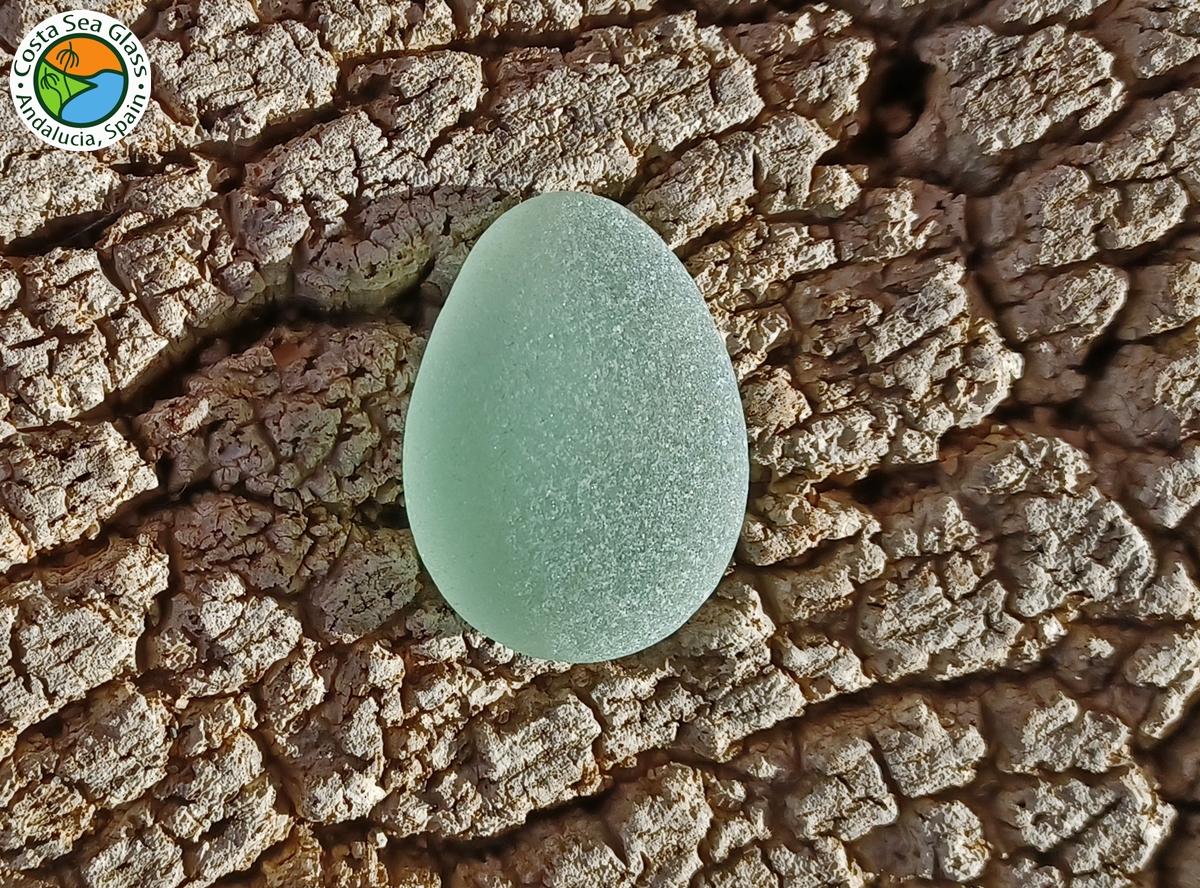 7 flawless large curvaceous seafoam Spanish sea glass pieces