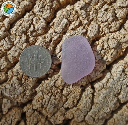 Lilac sea glass