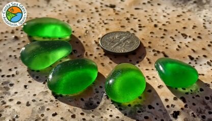 5 gorgeous green Spanish sea glass pieces - Image 2