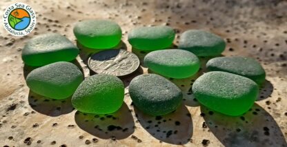 10 gorgeous green Spanish sea glass pieces - Image 5